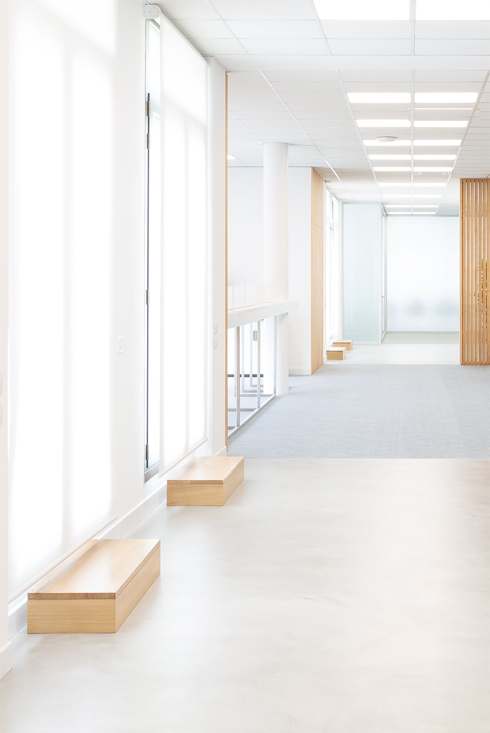 Elegant open-plan living with microcement surfaces